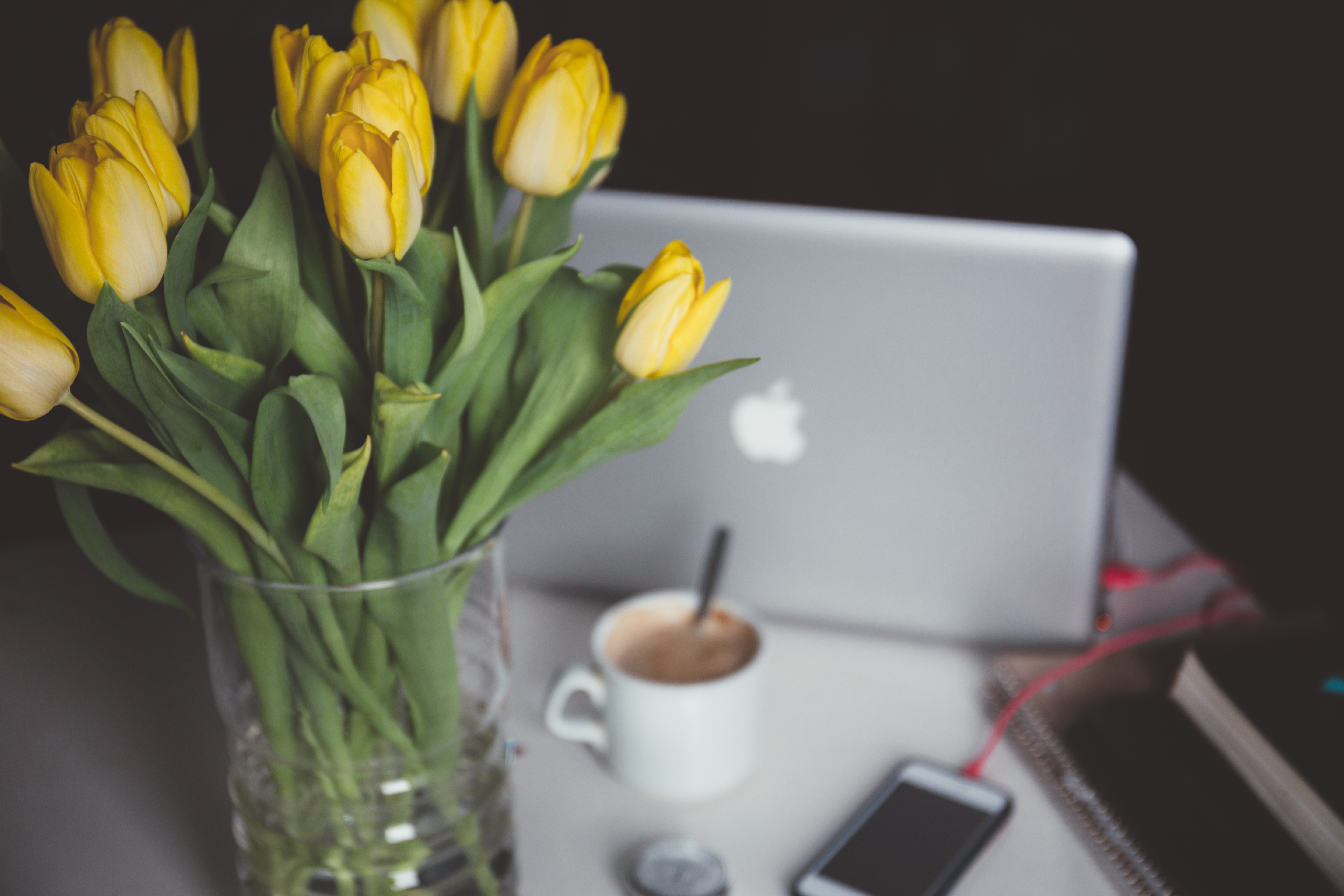 Yellow Flowers and Laptop